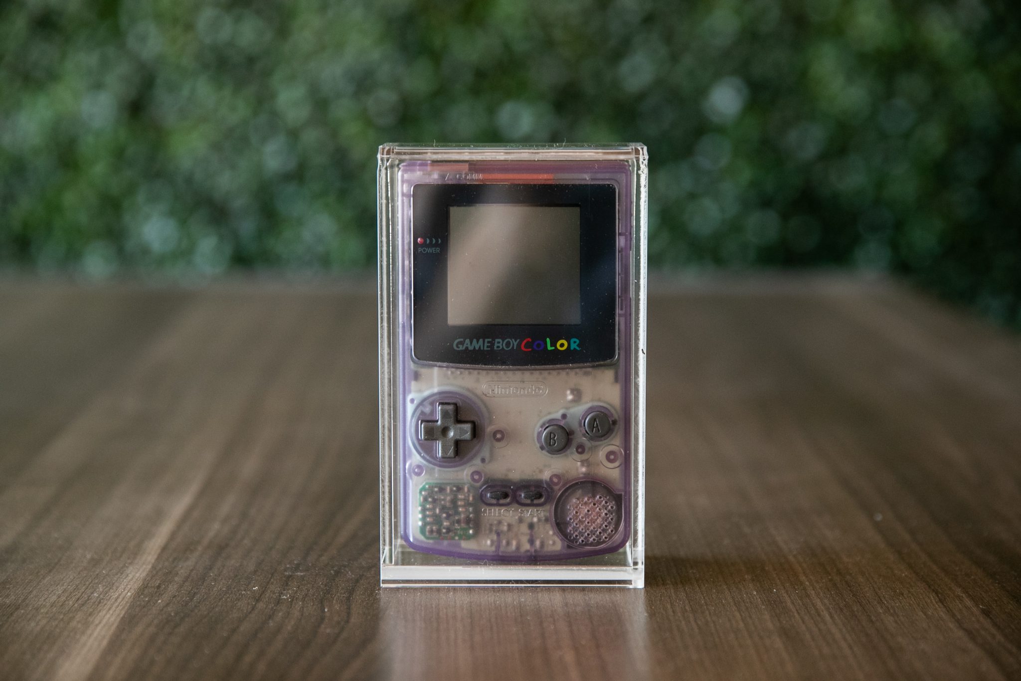 bitlounger-heartgold-soulsilver-gameboy-dmg-color0007